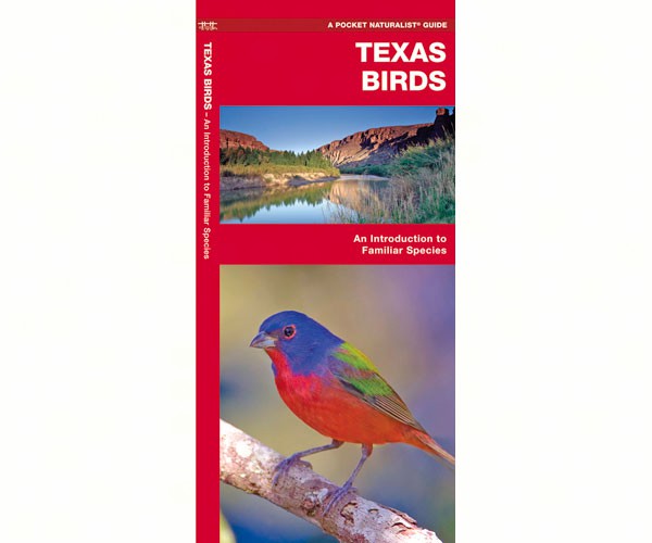 Texas Birds by James Kavanagh