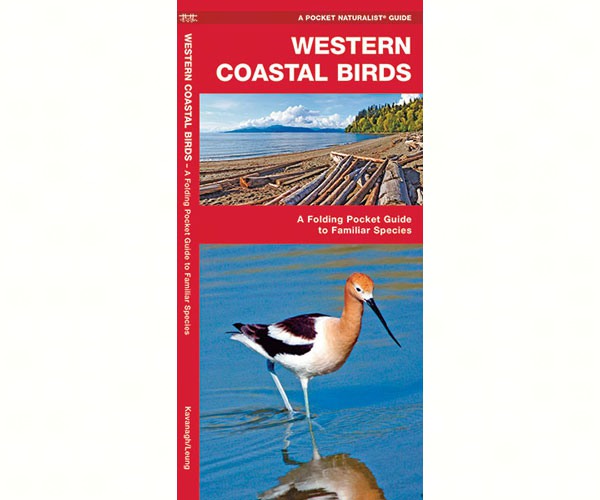 Western Coastal Birds by James Kavanagh