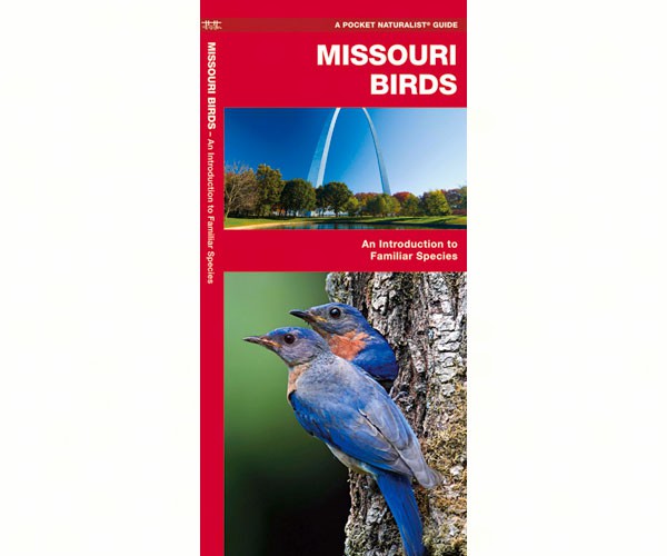 Missouri Birds by James Kavanagh