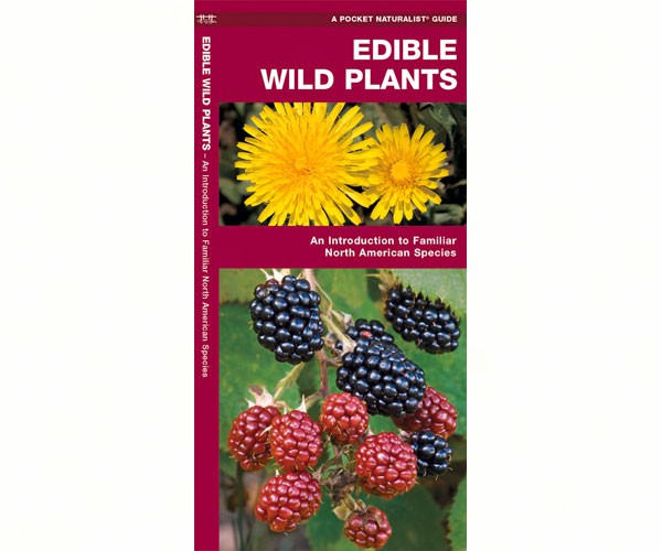 Edible Wild Plants by James Kavanagh