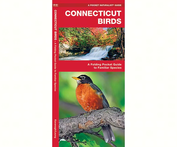 Connecticut Birds by James Kavanagh