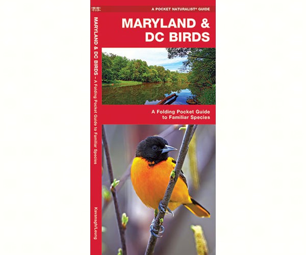 Maryland and DC Birds by James Kavanagh