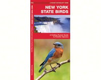 New York State Birds by James Kavanagh-WFP1583551592