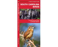 South Carolina Birds by James Kavanagh-WFP1583551677