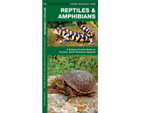 Reptiles and Amphibians by James Kavanagh-WFP1583551806