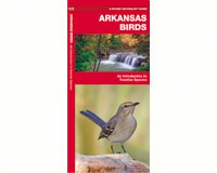 Arkansas Birds by James Kavanagh-WFP1583551844