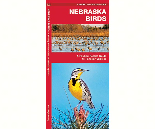 Nebraska Birds by James Kavanagh