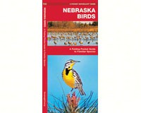 Nebraska Birds by James Kavanagh-WFP1583551851