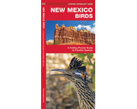 New Mexico Birds by James Kavanagh-WFP1583551875