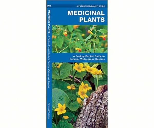 Medicinal Plants by James Kavanagh