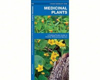 Medicinal Plants by James Kavanagh-WFP1583551905