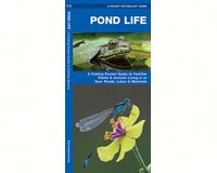Pond Life by James Kavanagh-WFP1583552148