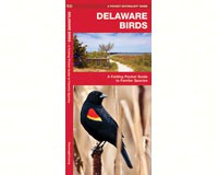Delaware Birds by James Kavanagh-WFP1583552223