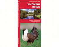 Wyoming Birds by James Kavanagh-WFP1583552261