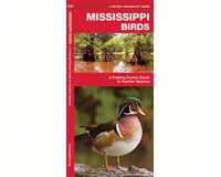Mississippi Birds by James Kavanagh-WFP1583552278