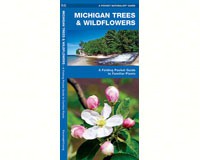 Michigan Trees and Wildflowers by James Kavanagh-WFP1583552469