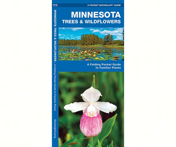 Minnesota Trees and Wildflowers by James Kavanagh