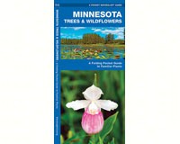 Minnesota Trees and Wildflowers by James Kavanagh-WFP1583552476