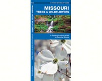 Missouri Trees and Wildflowers by James Kavanagh-WFP1583552483