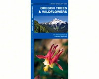 Oregon Trees and Wildflowers-WFP1583552520
