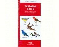 Ontario Birds-WFP1583552827