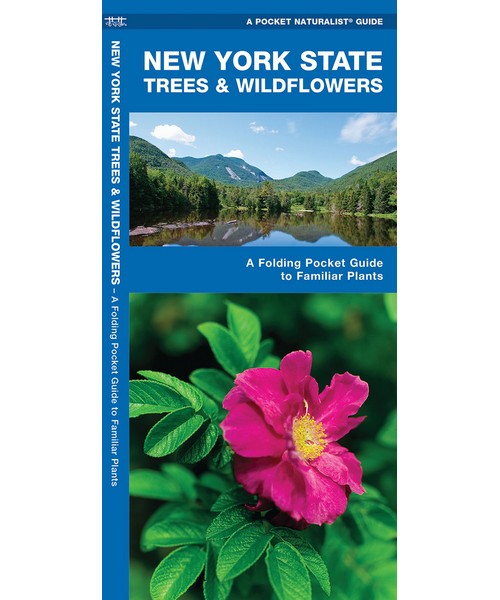 New York State Trees & Wildflower by James Kavanagh