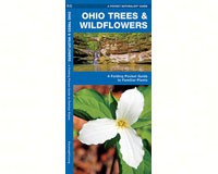 Ohio Trees and Wildflowers by James Kavanagh-WFP1583554159