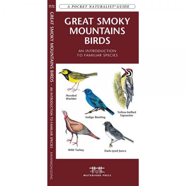 Great Smoky Mountains Birds An Introduction to Familiar Species