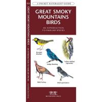 Great Smoky Mountains Birds An Introduction to Familiar Species-WFP1583554227