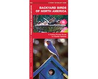 Backyard Birds of North America by James Kavanagh-WFP1583554647