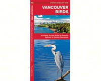 Vancouver Birds by James Kavanagh-WFP1583555491