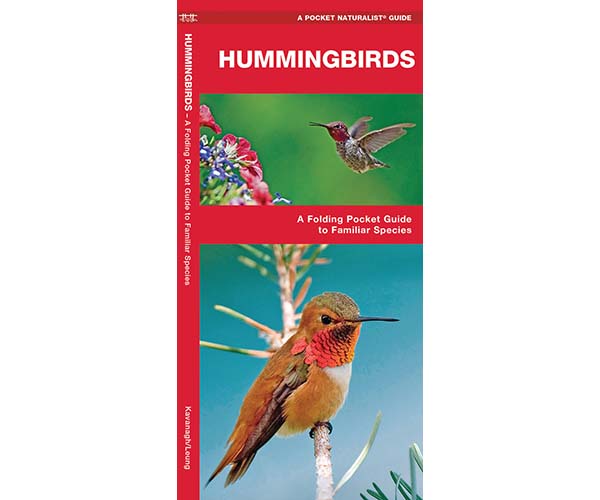 Hummingbirds by James Kavanagh
