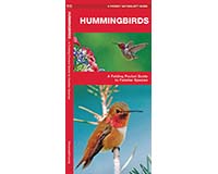 Hummingbirds by James Kavanagh-WFP1583557914