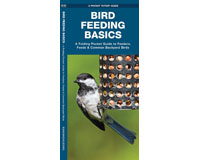 Bird Feeding Basics  by James Kavanagh-WFP1583559468