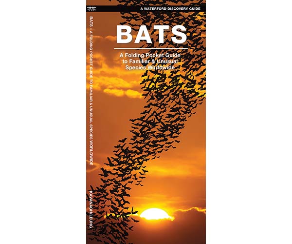 Bats by James Kavanagh