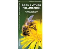 Bees and Other Pollinators by James Kavanagh-WFP1620051870