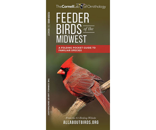 Feeder Birds of the Midwest US by Cornell Lab of Ornithology