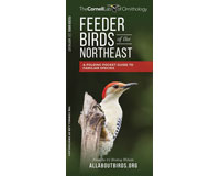 Feeder Birds of the Northeast US by Cornell Lab of Ornithology-WFP1620052228