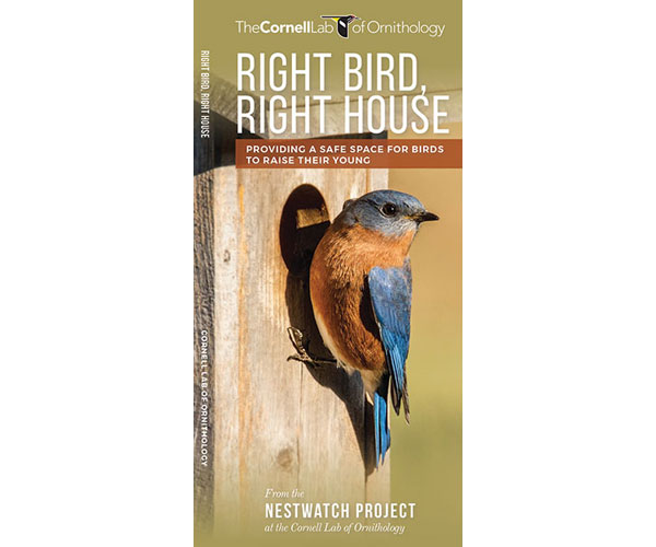 Right Bird, Right House by the Nestwatch Project at the Cornell Lab of Ornithology