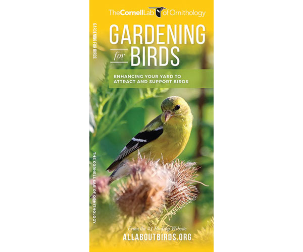 Gardening for Birds by The Cornell Lab of Ornithology