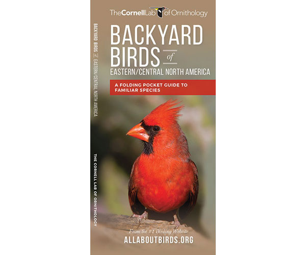 Backyard Birds of Eastern and Central North America by The Cornell Lab of Ornithology