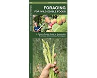 Foraging for Wild Edible Foods by James Kavanagh-WFP1620052785