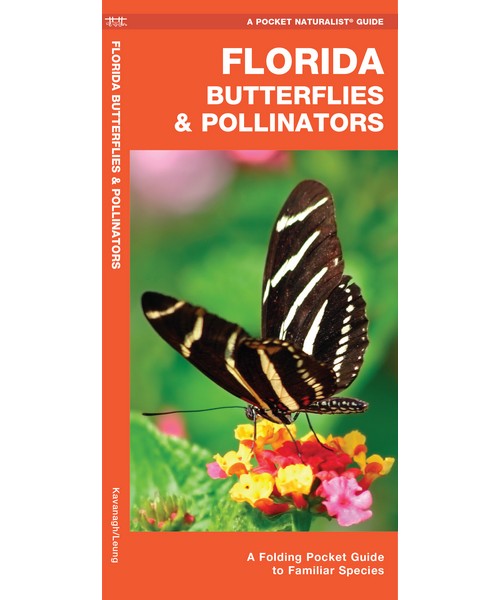 Florida Butterflies and Pollinators by James Kavanagh