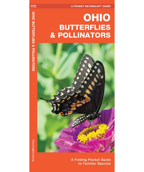 Ohio Butterflies and Pollinatorss by James Kavanagh