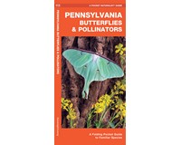 Pennsylvania Butterflies and Pollinator by James Kavanagh-WFP1620053843