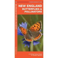 New England Butterflies and Pollinators by James Kavanagh-WFP1620054543