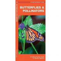 Butterflies and Pollinators A Folding Pocket Guide to Familiar Species-WFP1620054666