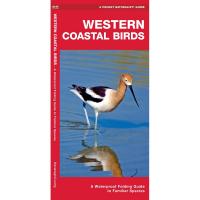 Western Coastal Birds 2nd Edition-WFP1620055526