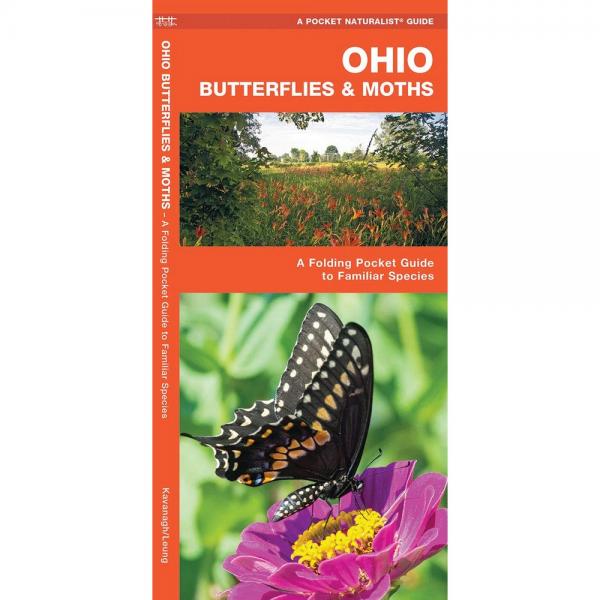 Ohio Butterflies and Moths by James Kavanagh