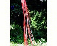 Rainbow Windsock Red Silver-ITB9051